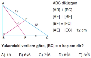 aciortay_kenarortay _konu_testi_11_007