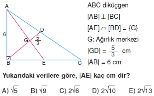 aciortay_kenarortay _konu_testi_11_007