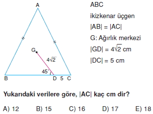 aciortay_kenarortay _konu_testi_11_008