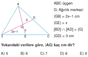 aciortay_kenarortay _konu_testi_11_008