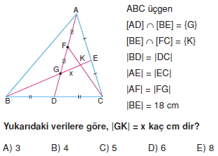 aciortay_kenarortay _konu_testi_11_009