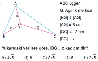 aciortay_kenarortay _konu_testi_11_010