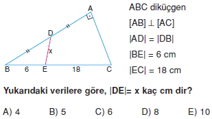 aciortay_kenarortay _konu_testi_11_011