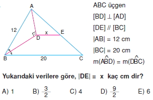 aciortay_kenarortay _konu_testi_11_012