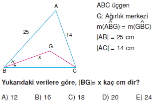 aciortay_kenarortay _konu_testi_11_013