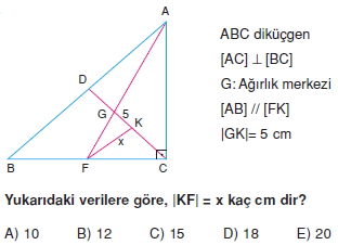 aciortay_kenarortay _konu_testi_11_013