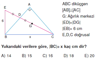 aciortay_kenarortay _konu_testi_11_014