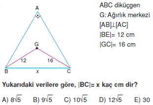 aciortay_kenarortay _konu_testi_11_015