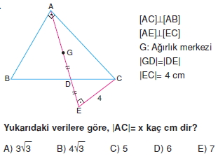 aciortay_kenarortay _konu_testi_11_016