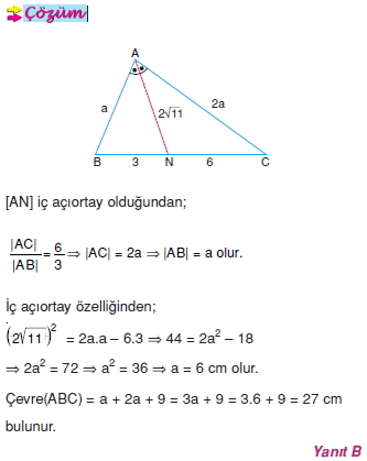 aciortay_ozellikleri_003