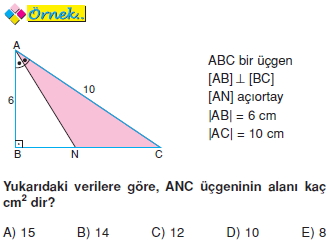 aciortayda_alan_ozellikleri_008