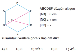 cokgen_dortgen_deltoıd_cozumler_2_003