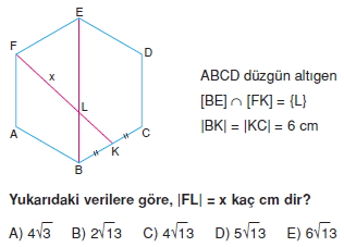 cokgen_dortgen_deltoıd_cozumler_2_004