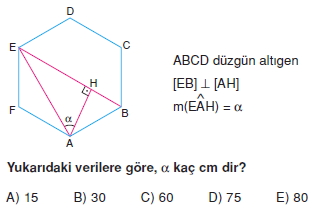 cokgen_dortgen_deltoıd_cozumler_2_008