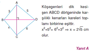 cokgen_dortgen_deltoıd_cozumlu_test_2_010