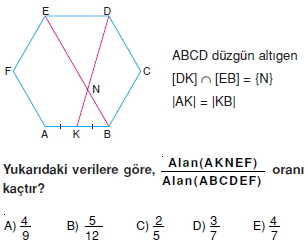 cokgen_dortgen_deltoıd_test_2_011