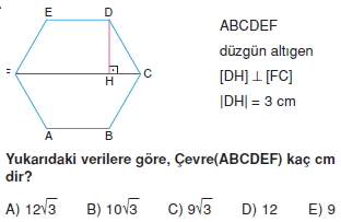 cokgen_dortgen_deltoıd_test_2_015