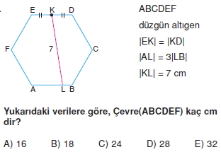 cokgen_dortgen_deltoıd_test_2_016