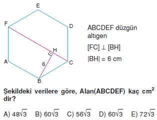 cokgen_dortgen_deltoıd_test_3_002