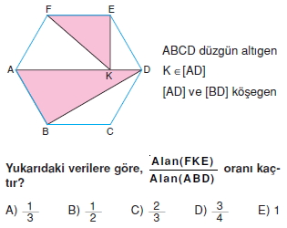 cokgen_dortgen_deltoıd_test_3_002