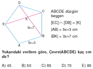 cokgen_dortgen_deltoıd_test_3_003