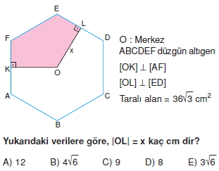 cokgen_dortgen_deltoıd_test_3_004