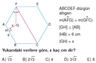 cokgen_dortgen_deltoıd_test_3_006