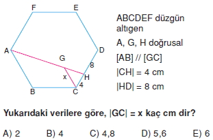 cokgen_dortgen_deltoıd_test_3_008