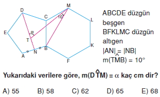 cokgen_dortgen_deltoıd_test_3_008