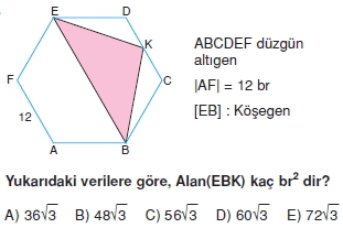 cokgen_dortgen_deltoıd_test_3_011