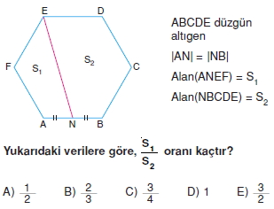 cokgen_dortgen_deltoıd_test_3_012