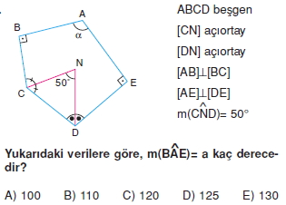 cokgen_dortgen_deltoıd_test_3_013