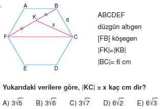 cokgen_dortgen_deltoıd_test_3_015