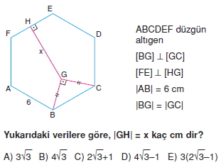 cokgen_dortgen_deltoıd_test_5_002