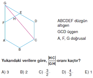 cokgen_dortgen_deltoıd_test_5_003