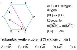 cokgen_dortgen_deltoıd_test_5_010