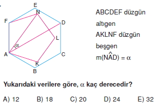 cokgen_dortgen_deltoıd_test_5_011