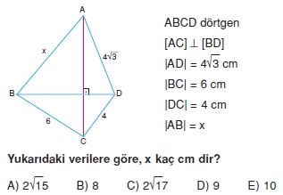 cokgen_dortgen_deltoıd_test_6_004