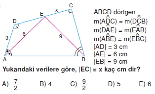 cokgen_dortgen_deltoıd_test_7_010