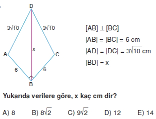 cokgen_dortgen_deltoıd_test_8_010