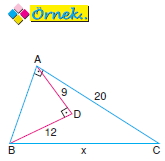 dik_ucgen_ozellik_005