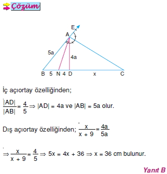 dis_aciortay_ozelligi_013