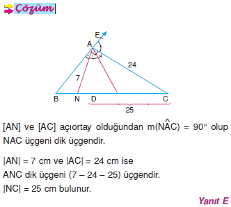 dis_aciortay_ozelligi_015