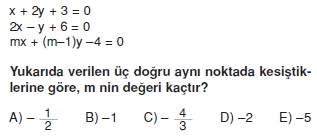 dogrunun_analıtık_ıncelenmesı_test_12_009