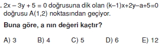 dogrunun_analıtık_ıncelenmesı_test_12_013