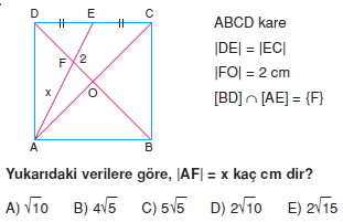 dıkdortgen_kare_test_10_016