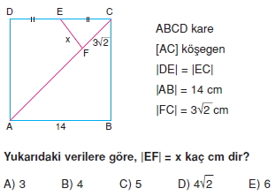 dıkdortgen_kare_test_11_014