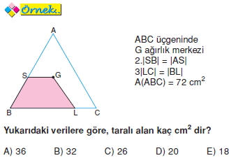 kenarortayda-alan-bagintilari011