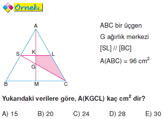 kenarortayda-alan-bagintilari013