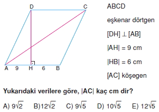 paralel_kenar_dortgen_test_10_003